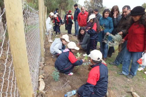 Escuela Basica Las Chinchillas De Cocou