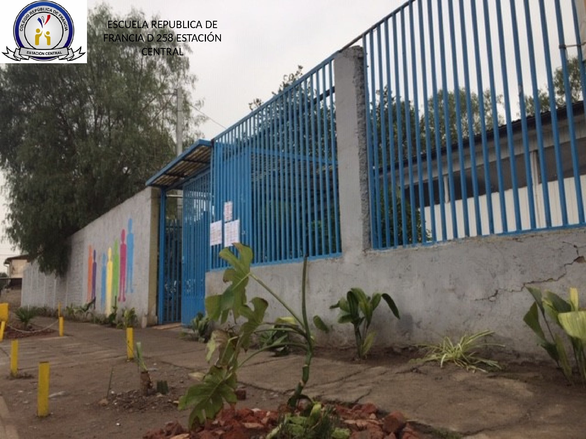 Escuela Basica Republica De Francia